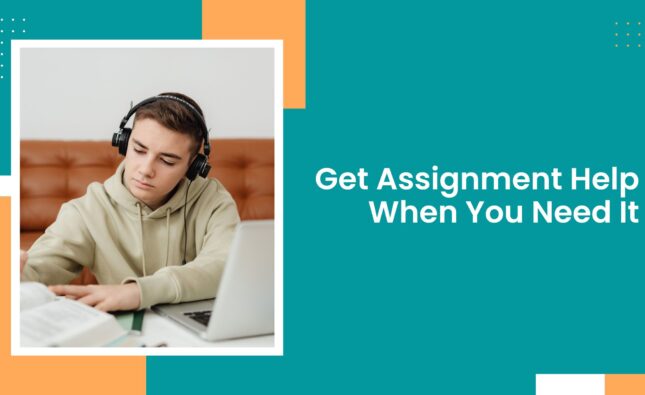 Get Assignment Help When You Need It