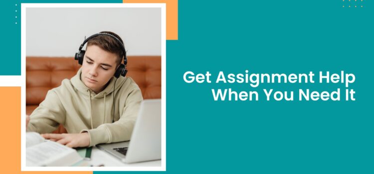Get Assignment Help When You Need It