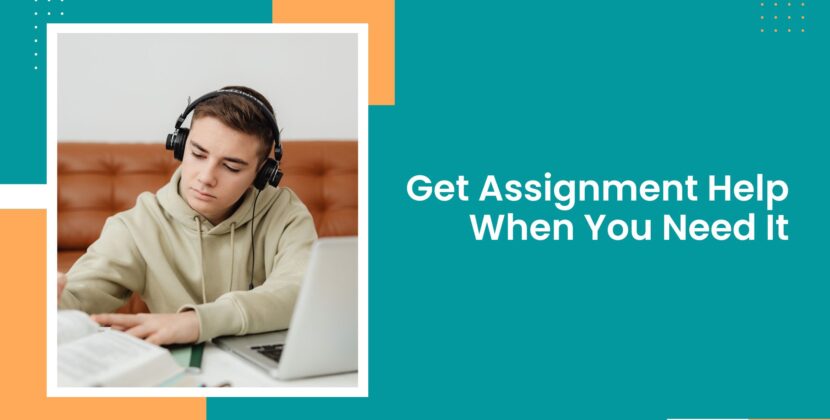 Get Assignment Help When You Need It
