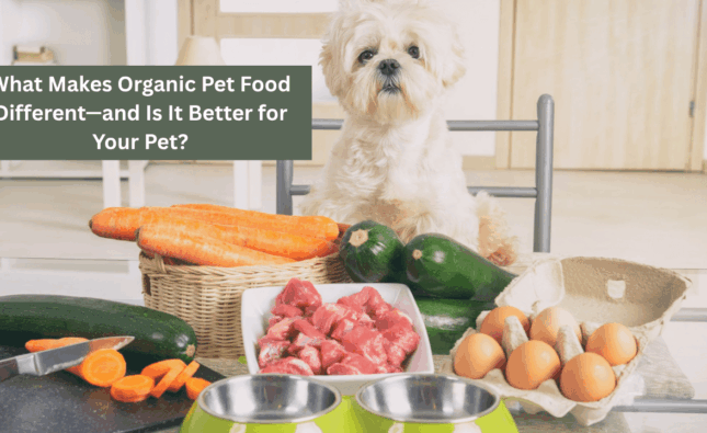What Makes Organic Pet Food Different—and Is It Better for Your Pet?