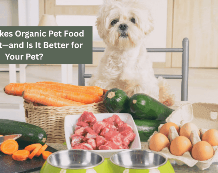 What Makes Organic Pet Food Different—and Is It Better for Your Pet?