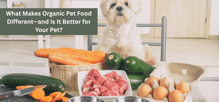 What Makes Organic Pet Food Different—and Is It Better for Your Pet?